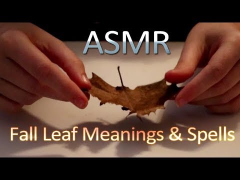 ASMR - Fall Leaf Meanings and Spells - Soft Talking, Rubbing, Crunching