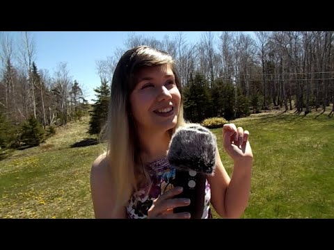 ASMR The Perfect Spring Day (Soft Spoken Rambling and Guided Meditation)