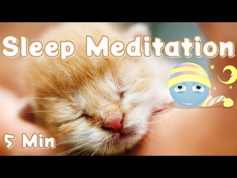 💤 5 Minute Bedtime Meditation for Sleep and Relaxation 💤