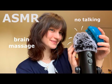 ASMR ~ Fluffy Mic Scratching/Brushing, Brain Massage (No Talking)