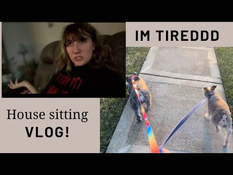 House Sitting Vlog!