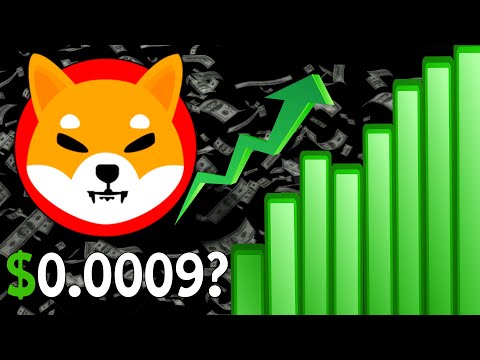 SHIBA INU HOLDERS: HUGE PRICE CORRECTION WILL HAPPEN! (DEVELOPERS CONFIRM) (BIG NEWS)