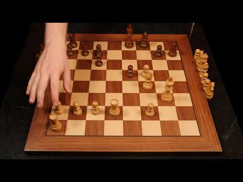 They Said a Woman Could Never Do This.. ♕ Judit  Polgar vs. Garry Kasparov ♔ Historical Chess ASMR