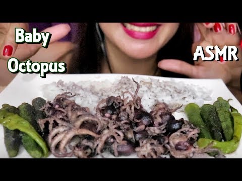 ASMR Baby Octopus Eating Sounds No Talking