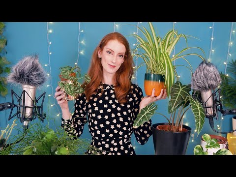 4 MORE Happy Houseplants | Show And Tell To Help You Relax🌱 Part 2