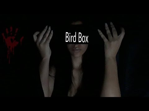 ASMR Roleplay bird box
