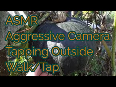 ASMR Aggressive Camera Tapping Outside Walk/Tap (Whispered)Lo-fi