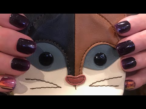 ASMR Tapping Cat Coin Purse Tingles ✨