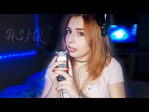 ASMR Ear Eating & Licking l Mouth Sounds