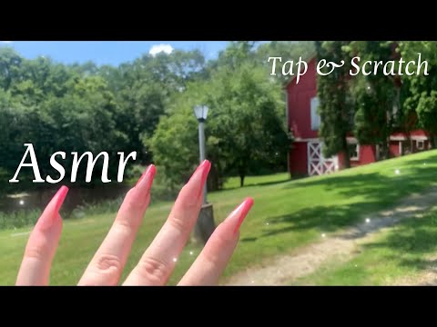 ASMR | Tapping & Scratching Outside | Nature Sounds