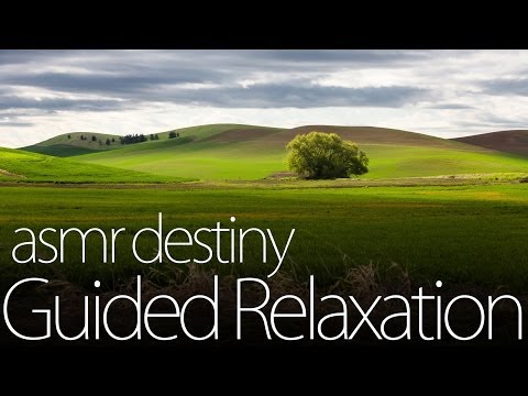 ASMR Guided Relaxation ~ Role Play (3D, binaural, ear to ear, sleep)