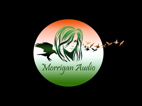 Ringing in the New Year!! Gaming and Q&A with Morrigan