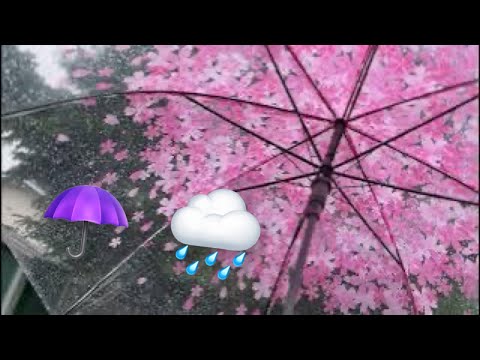 ASMR Rain on Umbrella - Rain Sounds for Sleeping and relaxing. 💦 ☔️