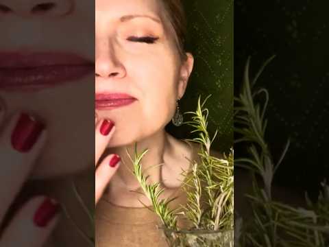 ASMR Healing Herbs for Your Body, Soul & Mind 🌿 #rosemary #relaxing  #nature