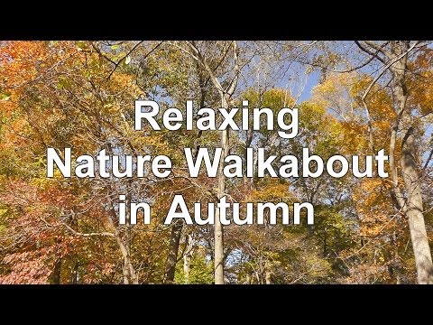Relaxing Nature Journey & Walkabout #7 - Fall 2013 - Crunchy Leaves, Flowing Water, Flute, Birds