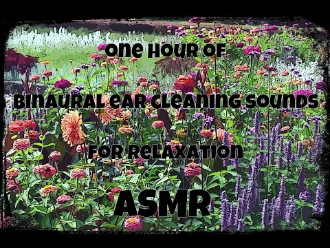ASMR One Hour of Binaural Ear Cleaning Sounds for Relaxation