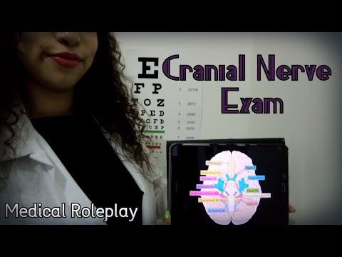 [ASMR] 💊💉 Cranial Nerve Exam (Medical Roleplay) | Light Triggers, Latex Gloves, Personal Attention