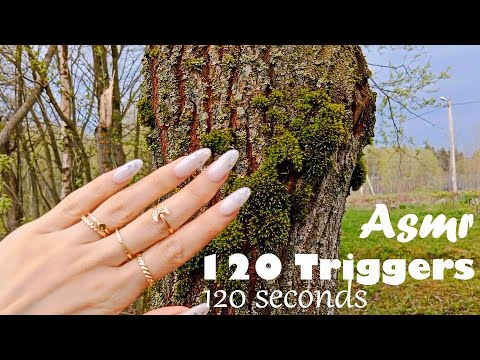 120 Triggers in 120 seconds in spring ASMR  [in the yard, forest, swamp]