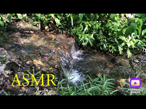ASMR In A Park | Water Sounds | Tapping And More For Relaxation