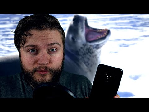Whispering about Leopard Seals (ASMR) [Scary boi] (australian accent asmr)