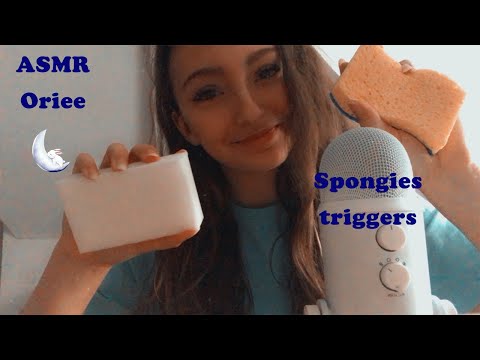 ASMR | Spongies triggers 🌙💤