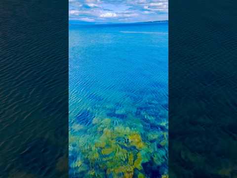 ASMR Crystal Clear Lake Geneva 💙🌊💙