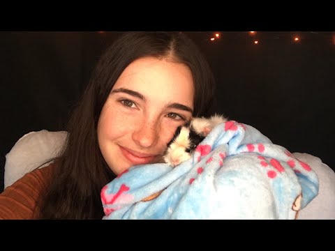 | Guinea Pig Tries ASMR | Meet Millie and Coco |
