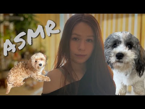 ASMR | Giving Puppies A Spa Day! (Soft Spoken)