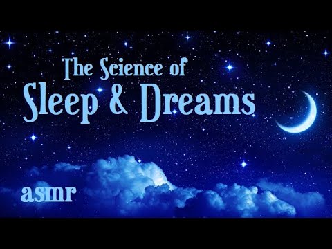 Bedtime Story - The Science of Sleep and Dreams (ASMR)