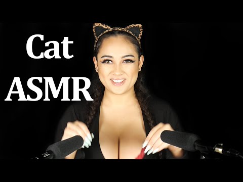Cat roleplay ASMR