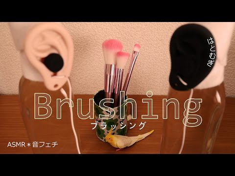 [ASMR] ブラッシング Brushing (声なし-No Talking)[音フェチ]