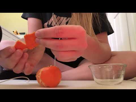 ASMR Peeling an Orange (No Talking)