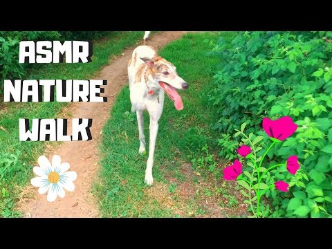 ASMR - NATURE WALK ~ Me & My Dog Reuben! | Soft Spoken w/ Birds, Nature, Crunchy Walking Sounds! ~