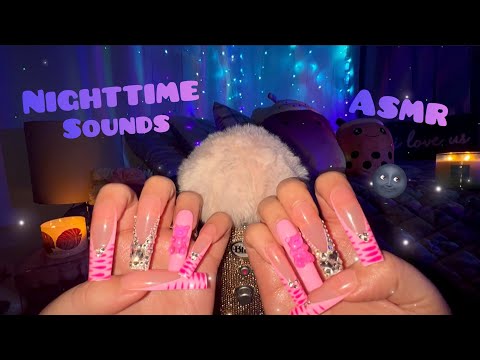 Asmr Long Nail Tapping & Camera Tapping with Nighttime Sounds for Sleep🦉🌚 (no talking)