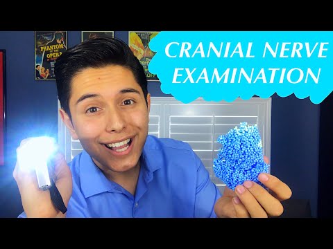 [ASMR] Funny Cranial Nerve Examination! (Dumb Doctor Role Play)