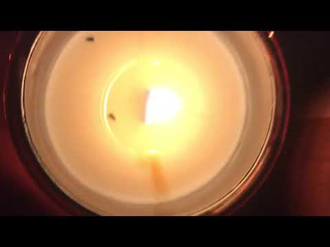 ASMR | Crackling WoodWick Candle,Tapping/Scratching Wood Sounds, Shhh...🕯🌳