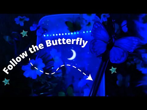 ASMR Follow the Butterfly, Air Tracing Shapes, Letters, Invisible Brushing, etc - Whispering