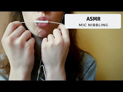 Lo-Fi ASMR | Mic Nibbling (Close-up mic nibbling, licking, tongue shaking)