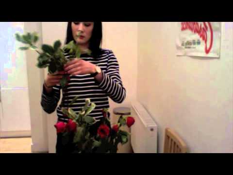 ASMR florist role play (✿◕‿◕✿) softly spoken with plant rustling sounds