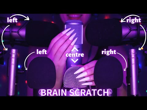 Asmr Mic Scratching - Brain Scratching with 8 Mics | Asmr No Talking for Sleep with Long Nails 1H