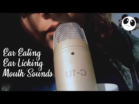 ASMR Ear Eating - Ear Licking - Mouth Sounds「No Talking」