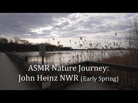 ASMR Nature Journey: John Heinz National Wildlife Refuge (Early Spring)
