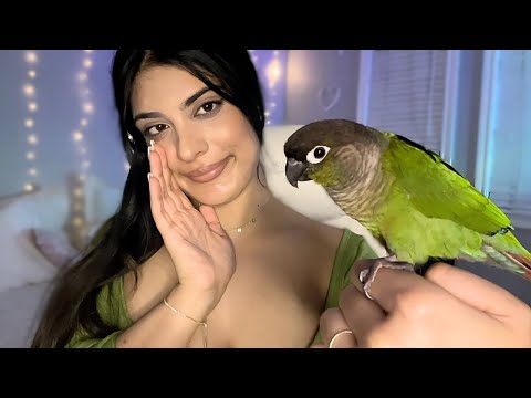 This Bird ASMR Will Give You The Tingles 🐦✨