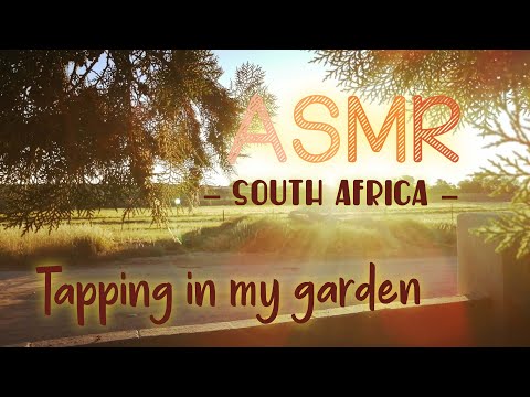 ASMR Tapping & scratching outside - Lo Fi - nature sounds