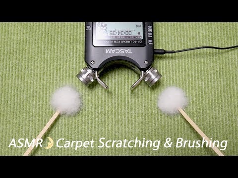 [ASMR] Carpet Scratching, Brushing & Tapping  / Ear Cleaning / No Talking / カーペットをスクラッチング