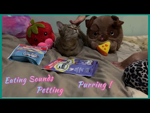 [ASMR] - Eating Sounds Whisper, Petting Purring with Daisy.’