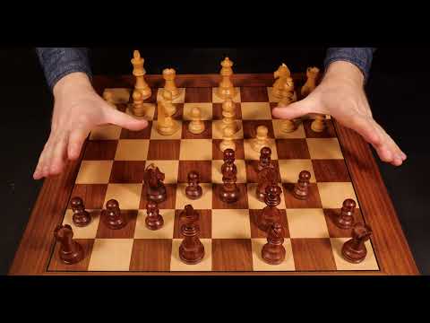ASMR: You Are a Chess GENIUS ♔ Roleplay ♔ Gerasimov vs. Smyslov, 1935