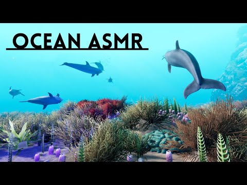 Relaxing Underwater ASMR 🐬 Diving With Dolphins & Whales 🐳 Beyond Blue 🤿