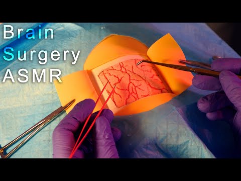 ASMR Brain Surgery & Cranial Nerve Exam (Medical Roleplay)