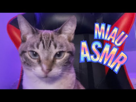 ASMR 😸 Minha gatinha vai fazer asmr 😸 Sons de mastigação, ronronar, etc […]